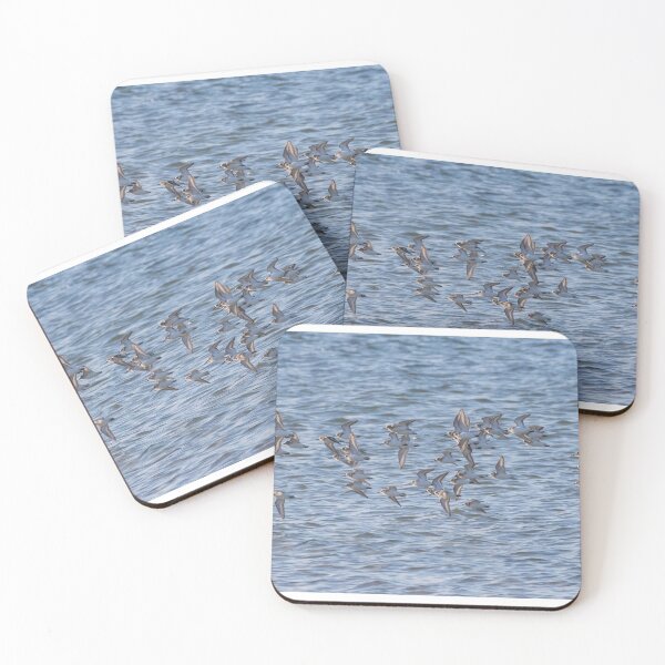 Item preview, Dunlin designed and sold by LaurenTucker.