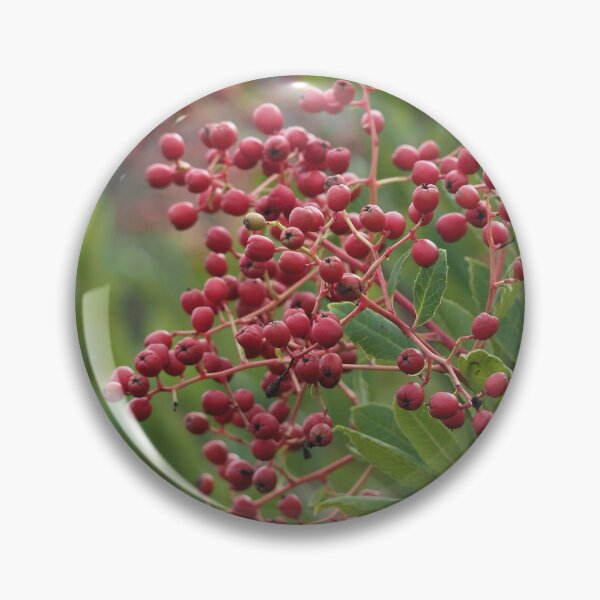 Item preview, California Holly designed and sold by happynaturalist.