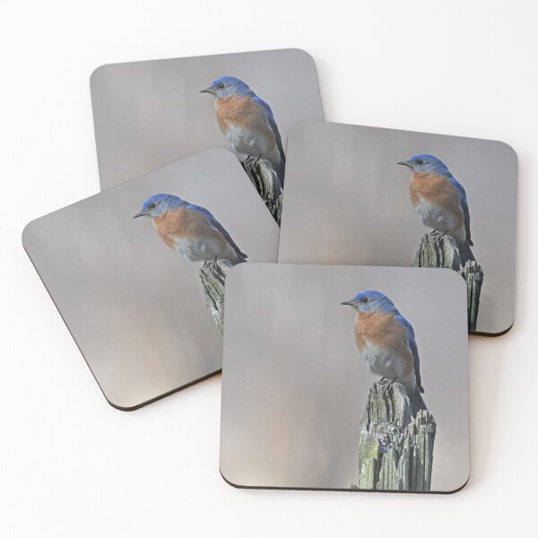 Item preview, Eastern Bluebird Male Photo designed and sold by LauraWolfArtist.