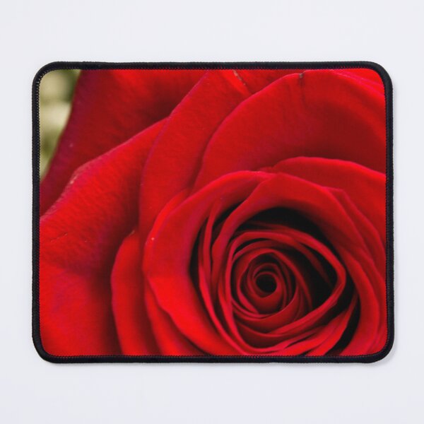 Item preview, Closeup of a red rose designed and sold by GemaIbarra.