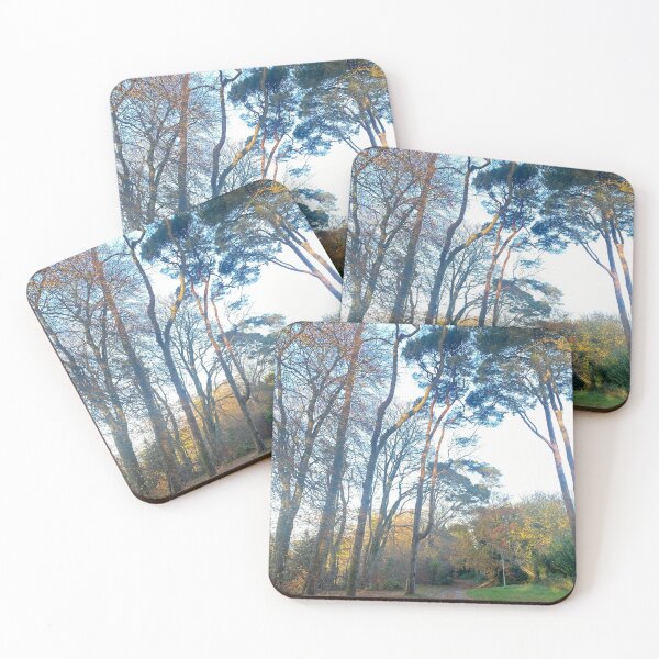 Item preview, Crawfordsburn Country Park, Bangor, County Down, Northern Ireland designed and sold by emmajw09.