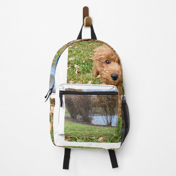Item preview, Jared designed and sold by BOBBYBABE.