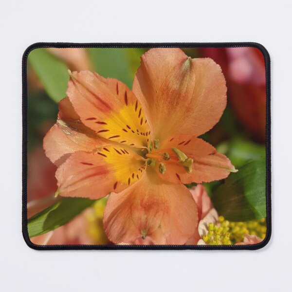 Item preview, Flower in a bouquet photographic image designed and sold by AustaArt.