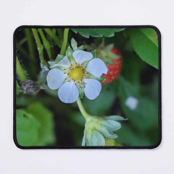 Item preview, Strawberry Blossom Photographic Image designed and sold by AustaArt.