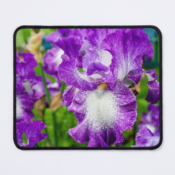 Item preview, Ruffled Iris designed and sold by onepony.