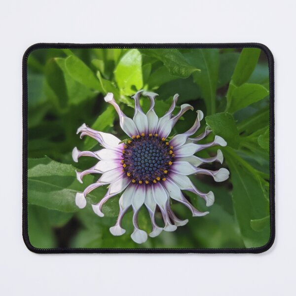 Item preview, Purple and White Flower Photographic Image designed and sold by AustaArt.