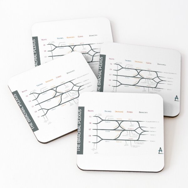 Item preview, Brachial Plexus designed and sold by Anaestheasier.