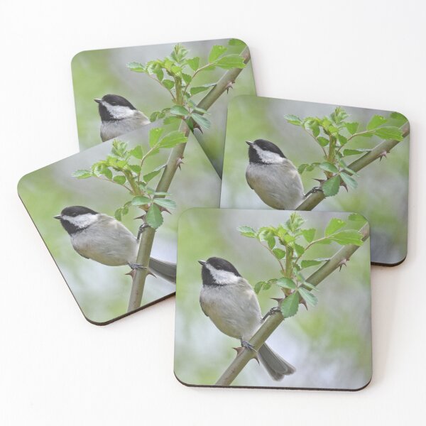 Item preview, Carolina Chickadee Photo designed and sold by LauraWolfArtist.