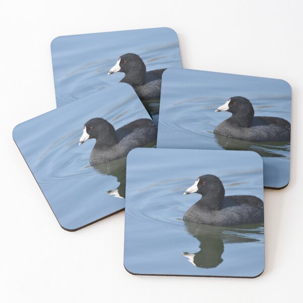 Item preview, American Coot Photo designed and sold by LauraWolfArtist.