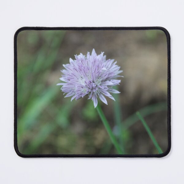 Item preview, Green Onion Blossom in Garden Photographic Image designed and sold by AustaArt.