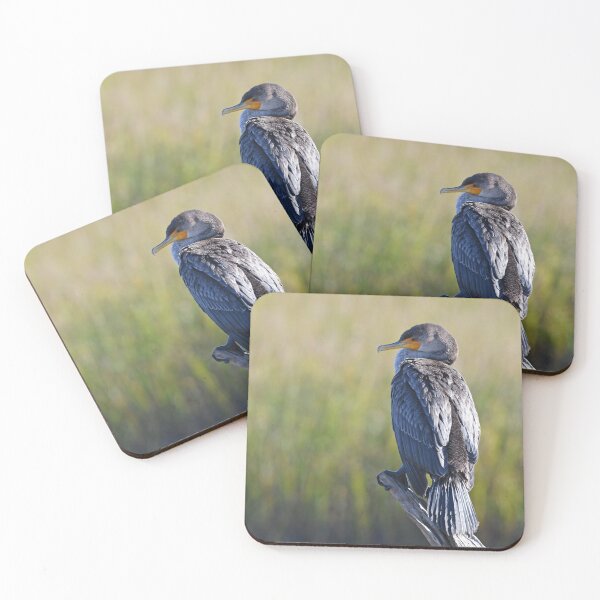 Item preview, Double-crested Cormorant Photo designed and sold by LauraWolfArtist.