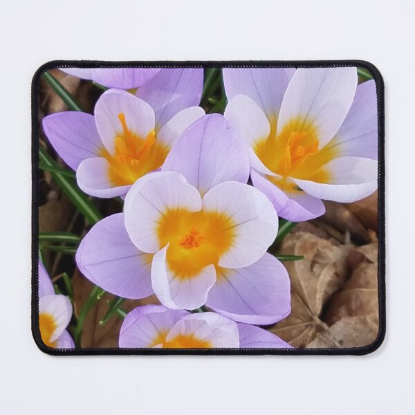 Item preview, Little Lavender Species Crocus in the Woods designed and sold by Betty Mackey.