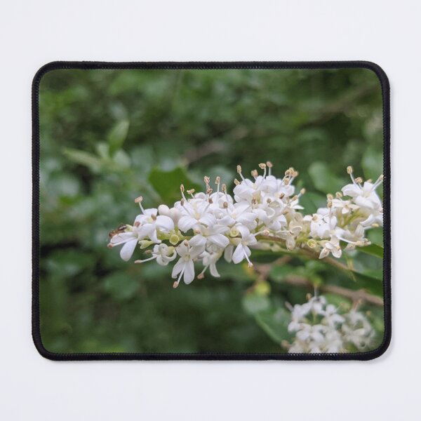 Item preview, Tiny White Tree Flowers With an Ant Photographic Image designed and sold by AustaArt.