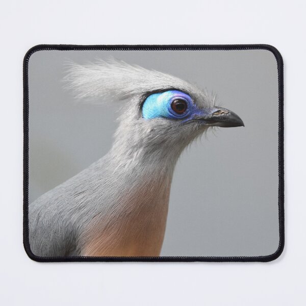 Item preview, Crested Cua Photo designed and sold by LauraWolfArtist.