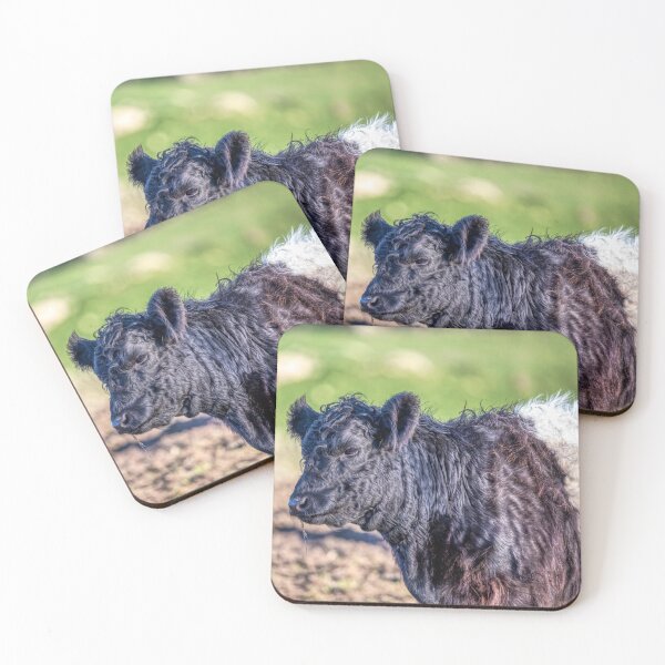 Item preview, Belted Galloway Cow designed and sold by derekbeattie.