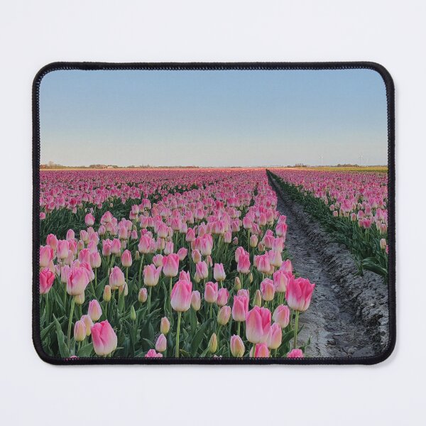 Aperçu de l'œuvre Beau champ de fleurs hollandais de tulipes créée et vendue par Rob Baken.