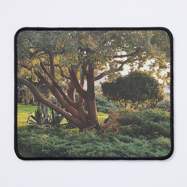 Item preview, Picturesque View of Nature designed and sold by Branislava Tir .
