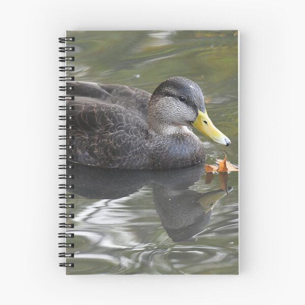 Item preview, American Black Duck Photo designed and sold by LauraWolfArtist.