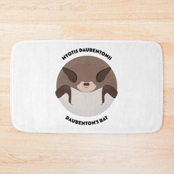 Item preview, Hibernating Daubenton's bat drawing with scientific and English names designed and sold by MarisG.
