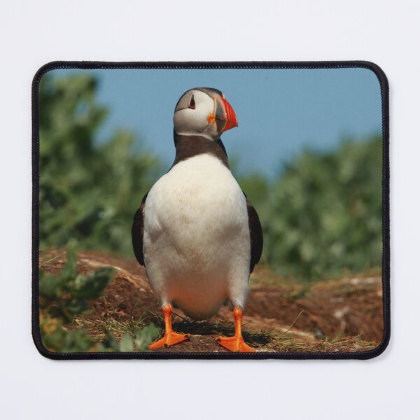 Item preview, Puffin designed and sold by Jon Lees.