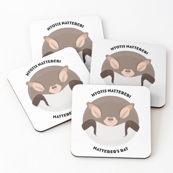 Item preview, Hibernating Natterer's bat drawing with scientific and English names designed and sold by MarisG.