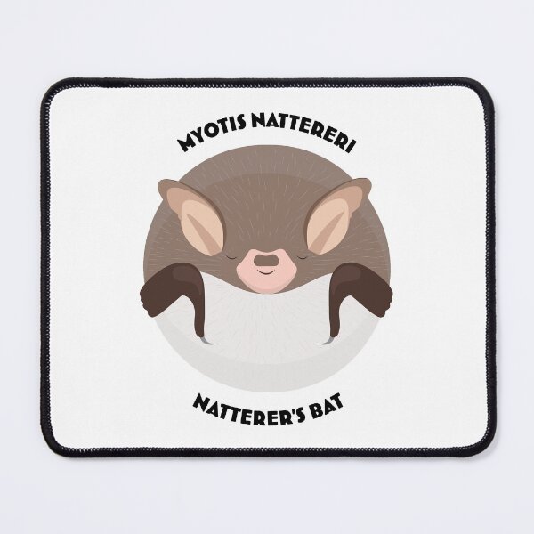 Item preview, Hibernating Natterer's bat drawing with scientific and English names designed and sold by MarisG.