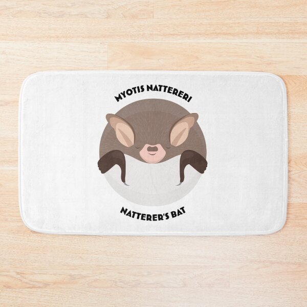 Item preview, Hibernating Natterer's bat drawing with scientific and English names designed and sold by MarisG.