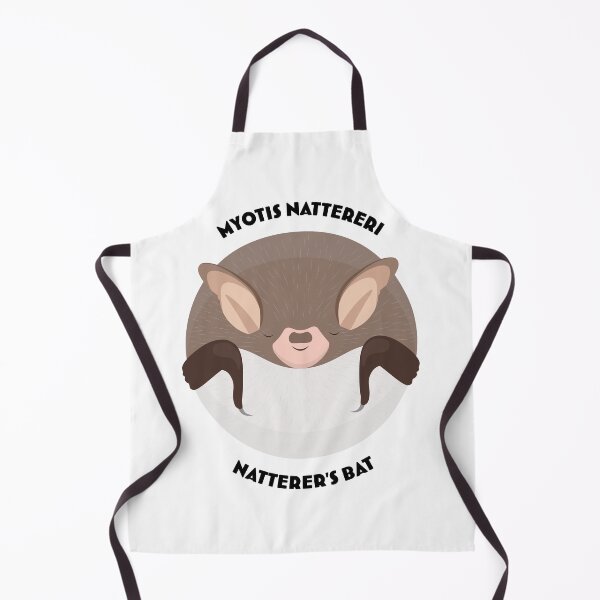 Item preview, Hibernating Natterer's bat drawing with scientific and English names designed and sold by MarisG.