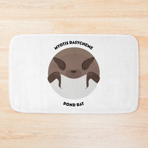 Item preview, Hibernating pond bat drawing with scientific and English names designed and sold by MarisG.