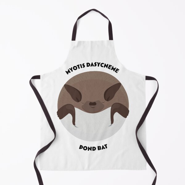 Item preview, Hibernating pond bat drawing with scientific and English names designed and sold by MarisG.