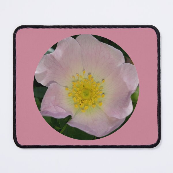 Item preview, Wild Rose  designed and sold by amanda150771.