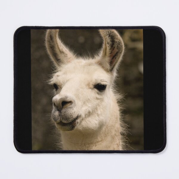 Item preview, Llama  designed and sold by Jon Lees.