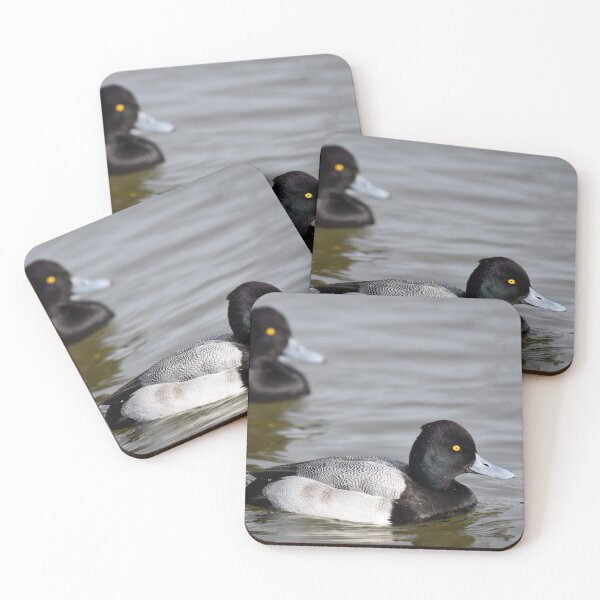 Item preview, Male Lesser Scaups Photo designed and sold by LauraWolfArtist.