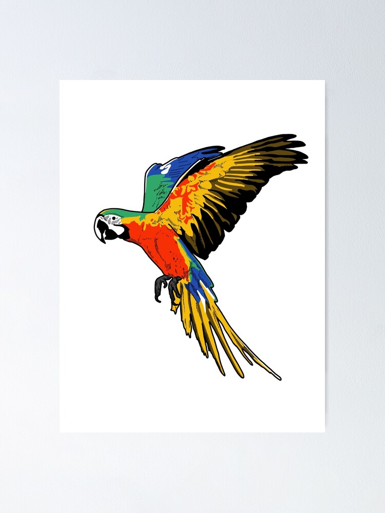 Flying Parrot Line Drawing Stock Photos - 1,404 Images | Shutterstock