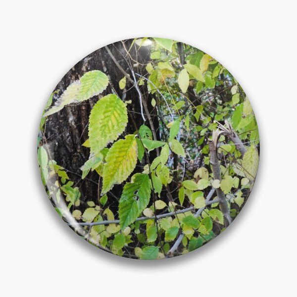 Item preview, Leaves Against A Tree designed and sold by MissJades.