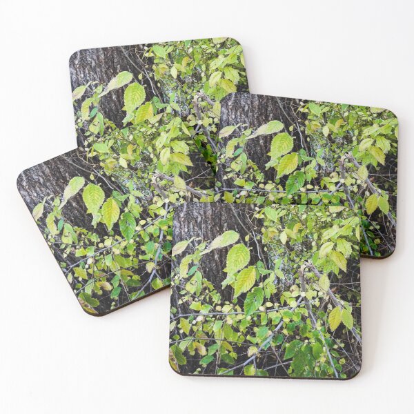 Item preview, Leaves Against A Tree designed and sold by MissJades.