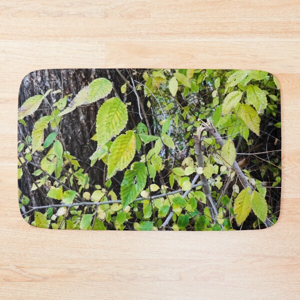 Item preview, Leaves Against A Tree designed and sold by MissJades.