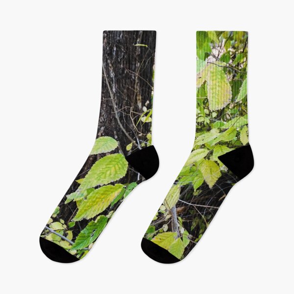 Item preview, Leaves Against A Tree designed and sold by MissJades.
