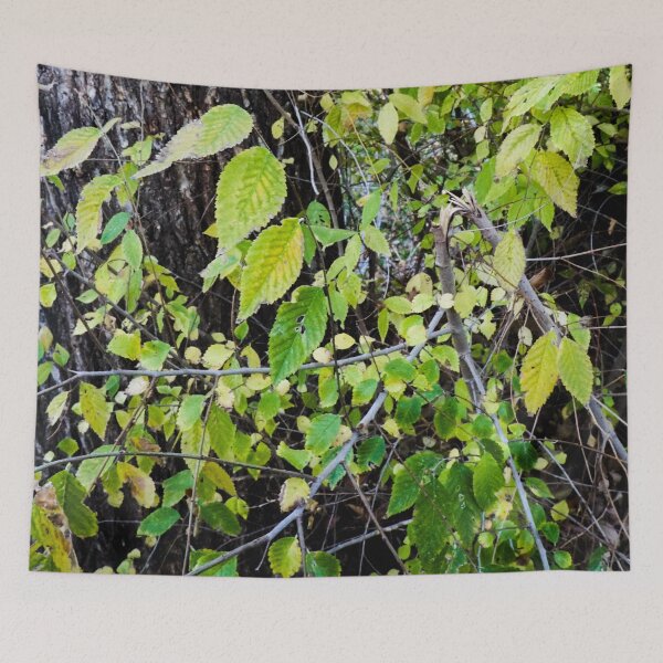 Item preview, Leaves Against A Tree designed and sold by MissJades.
