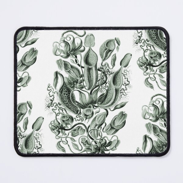 Artikelvorschau, Ernst Haeckel Nepenthaceae Kannenpflanze Grün entworfen und verkauft von aimeewilson.