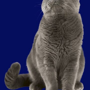 Artwork thumbnail, Cat by ISF22