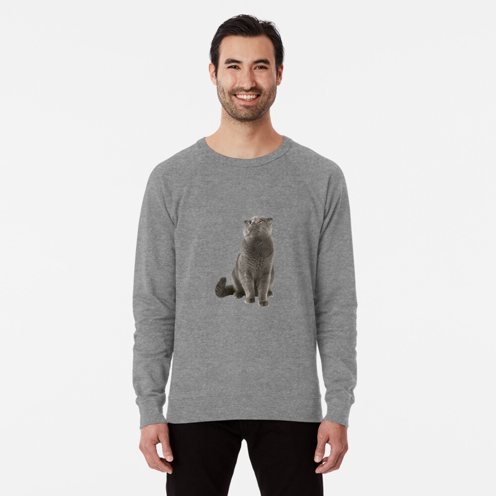 Item preview, Lightweight Sweatshirt designed and sold by ISF22.