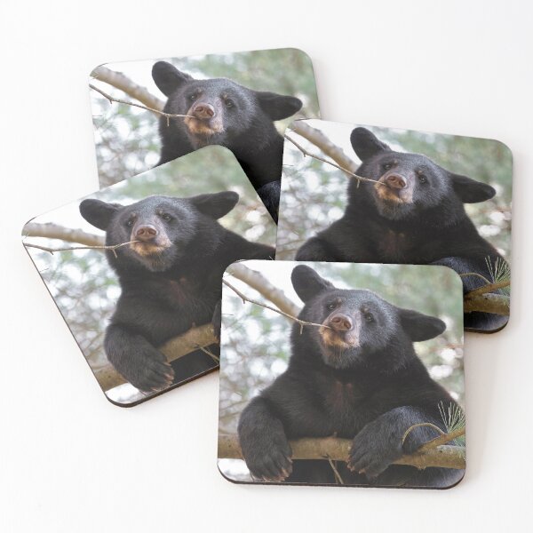 Item preview, Black Bear Cub designed and sold by mlorenz.