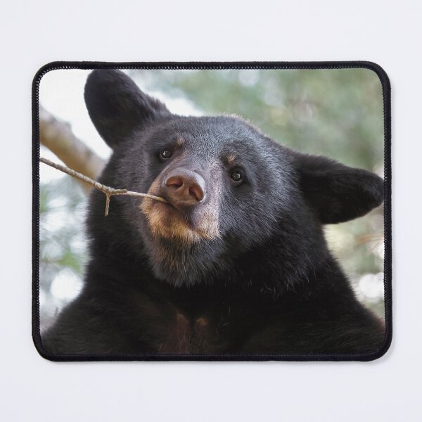 Item preview, Black Bear Cub designed and sold by mlorenz.