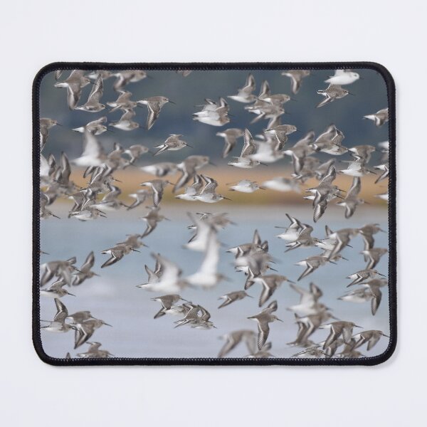 Item preview, Dunlin Flock Photo designed and sold by LauraWolfArtist.