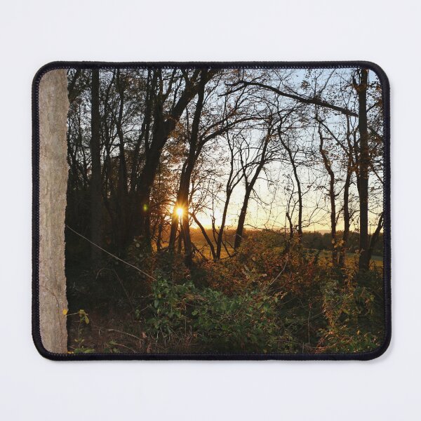 Item preview, Sunset in a Maryland Forest designed and sold by Theophanes Avery.