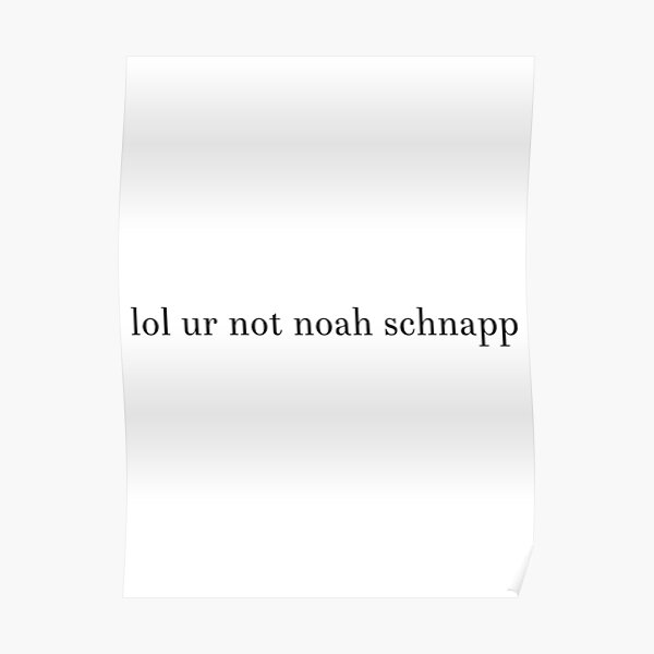 lol ur not noah schnapp Poster