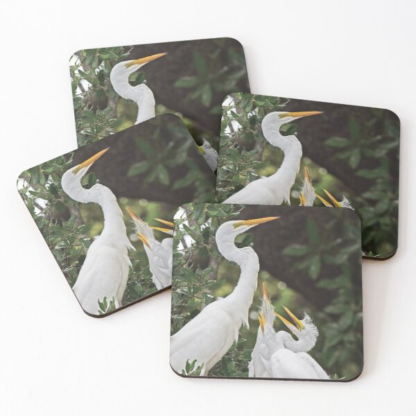 Item preview, Great Egret Family Photo designed and sold by LauraWolfArtist.