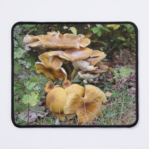 Item preview, Yellow Mushroom Cluster designed and sold by Theophanes Avery.