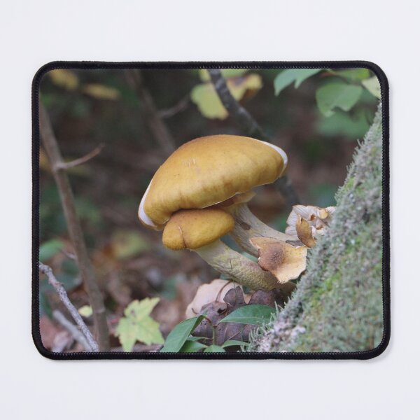 Item preview, Yellow Mushroom on a Tree designed and sold by Theophanes Avery.